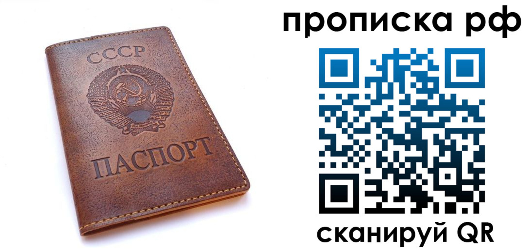 прописка для работы в Мытищах